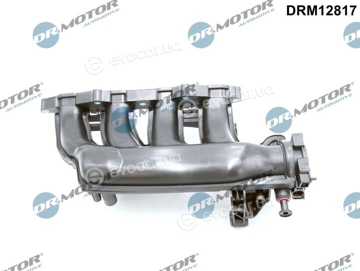 Dr. Motor DRM12817