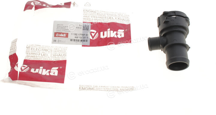 Vika 11221779701