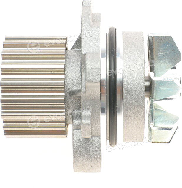 Continental CT1051WP2