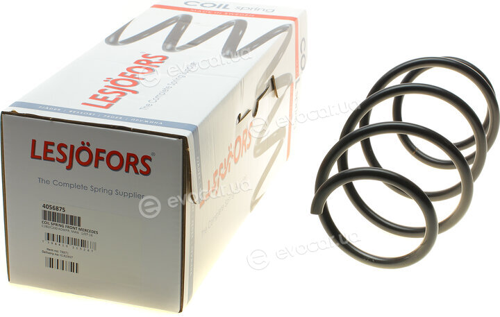 Lesjofors 4056875