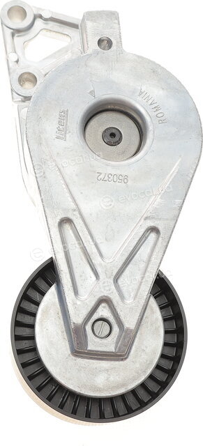 SKF VKM 31019