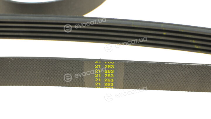 Dayco 5PK2060