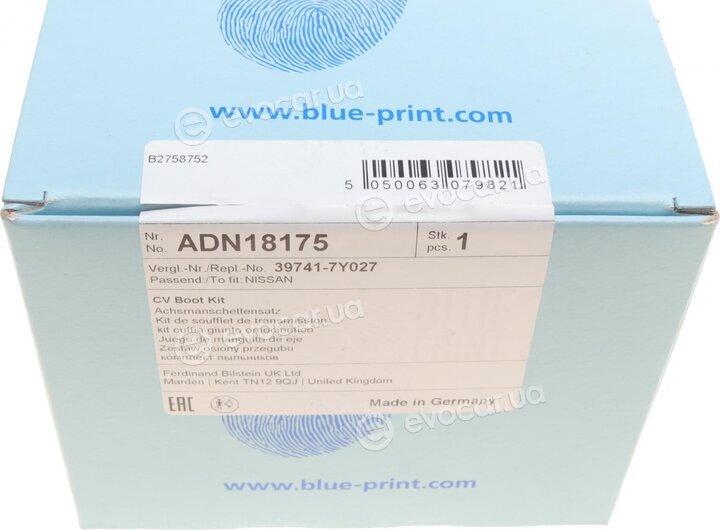 Blue Print ADN18175