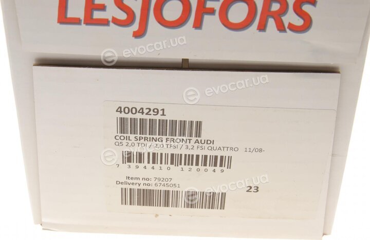 Lesjofors 4004291