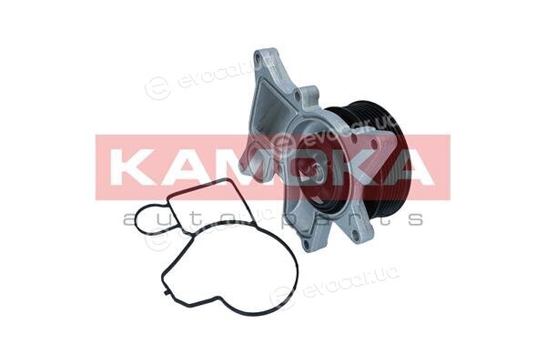 Kamoka T0298