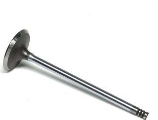 Gunes 4019
