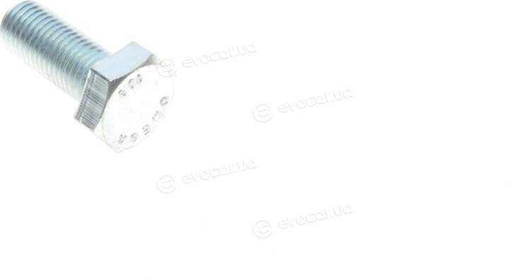 Solgy 203101