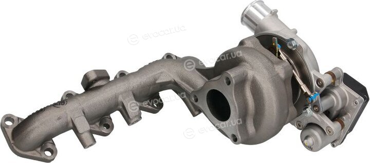 BorgWarner 16389880014