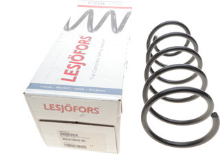 Lesjofors 4063442
