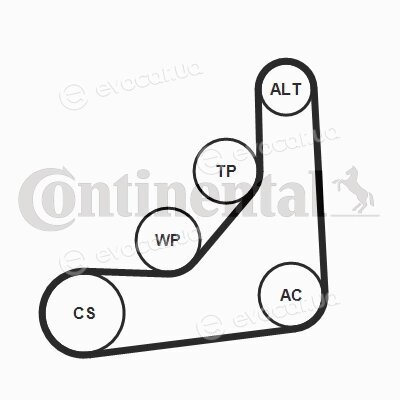 Continental 6PK1153K3