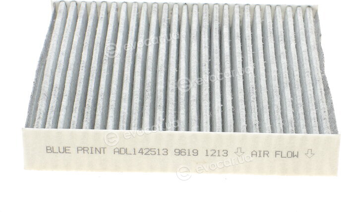 Blue Print ADL142513