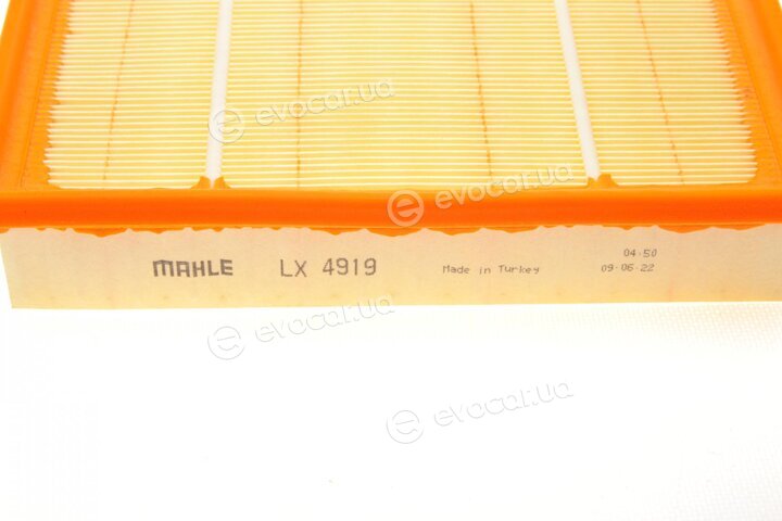 Mahle LX 4919