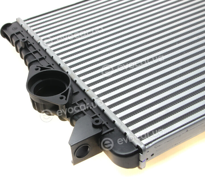 Van Wezel 58004251