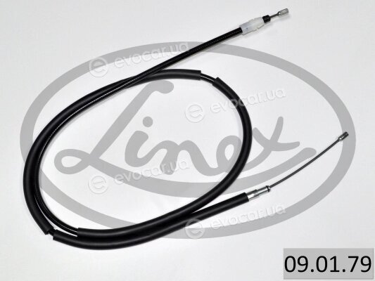 Linex 09.01.79