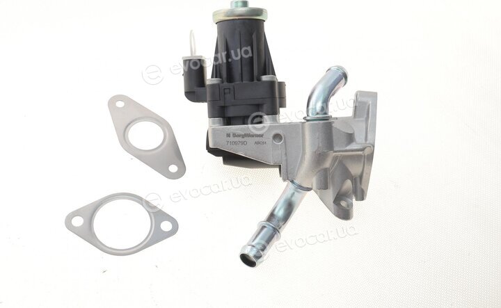 Wahler / BorgWarner 710979D