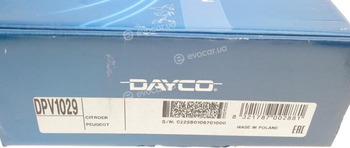 Dayco DPV1029