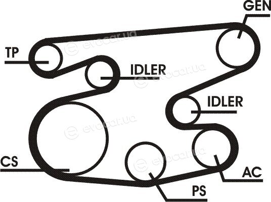 Continental 6PK2236D1