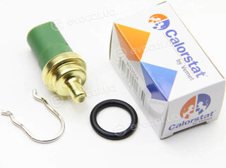 Vernet / Calorstat WS2604