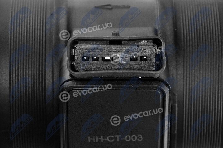 NTY EPP-CT-003
