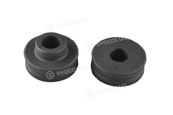 Tedgum TED34804
