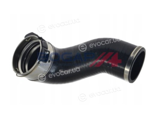 Bogap R1711114