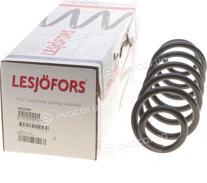 Lesjofors 4204299