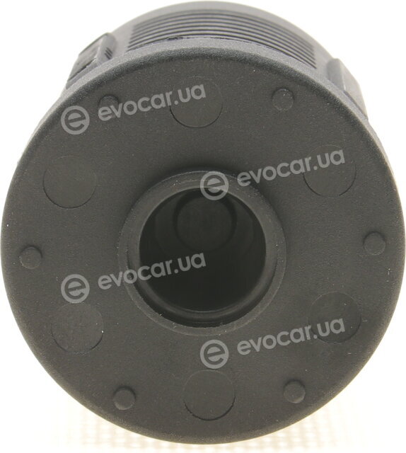 BorgWarner DS2006273
