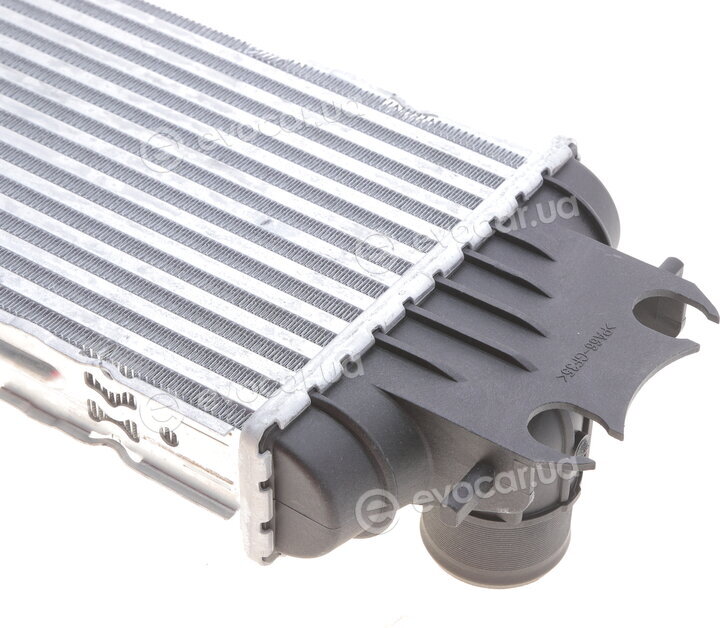 Van Wezel 43004328