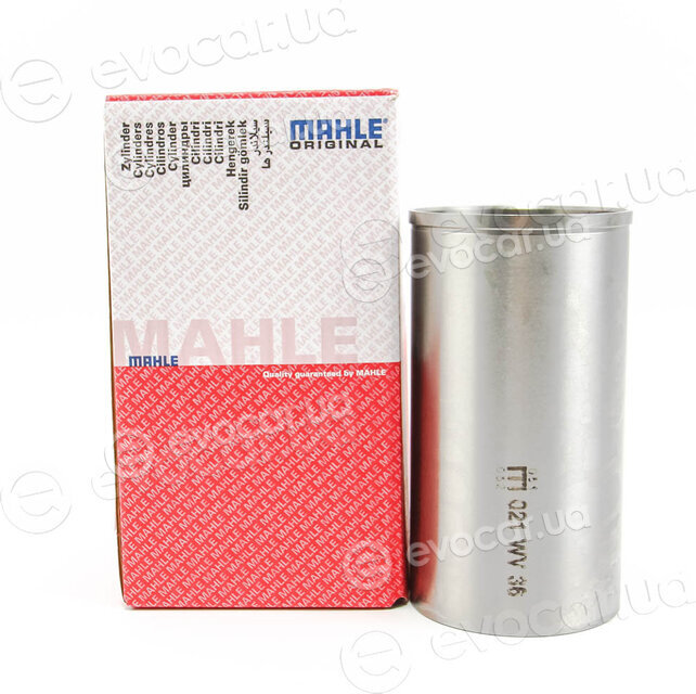 Mahle 021 WV 36 00