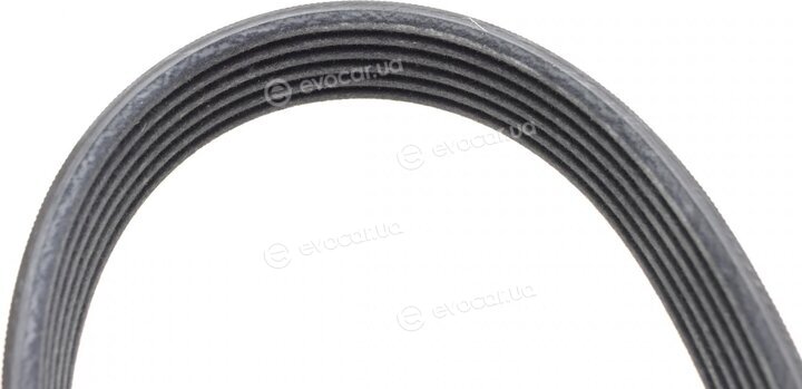 Continental 6PK1050K3