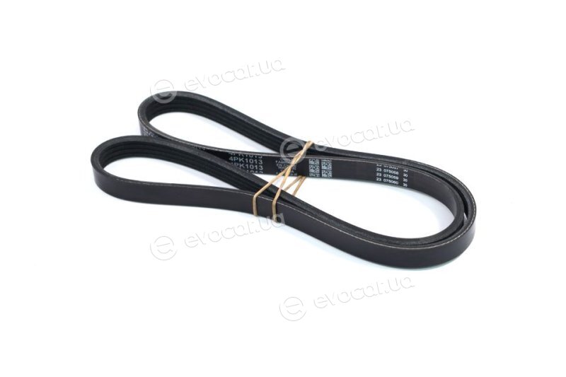 Dayco 4PK1013