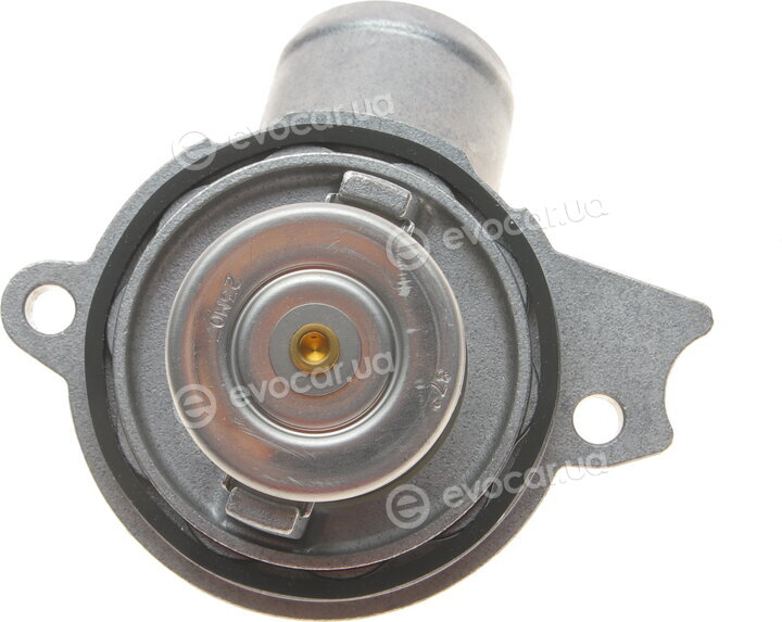 Wahler / BorgWarner 4281.87D