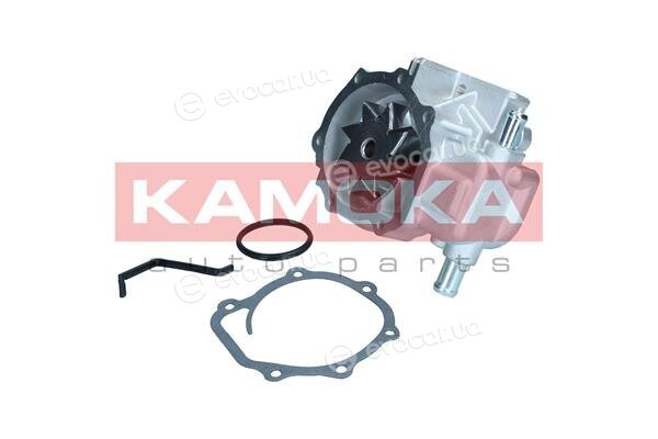 Kamoka T0313