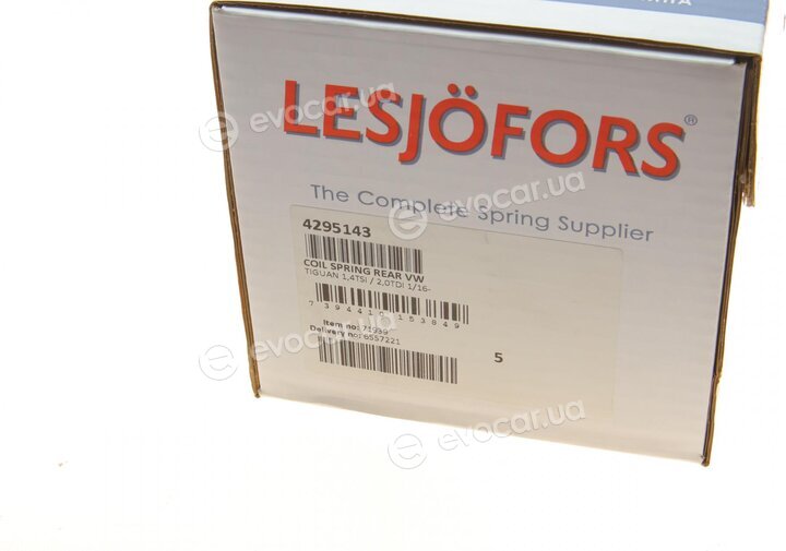 Lesjofors 4295143