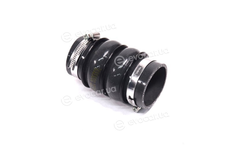Sasic 3330008