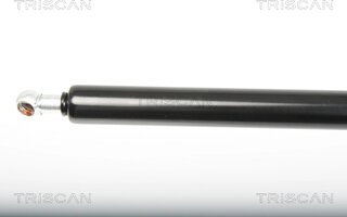 Triscan 8710 25246