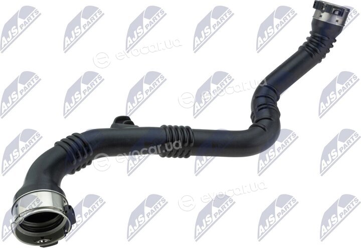 NTY GPP-NS-008