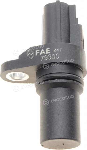 FAE 79300