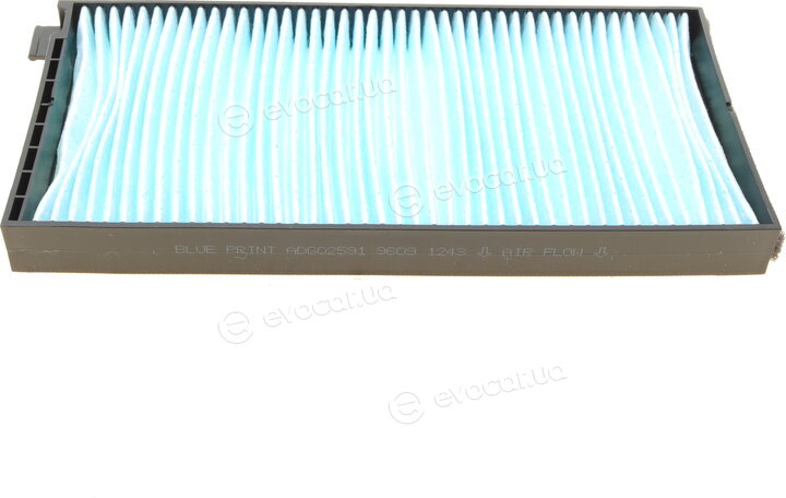 Blue Print ADG02591