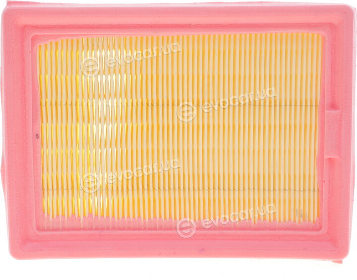 Solgy 103132