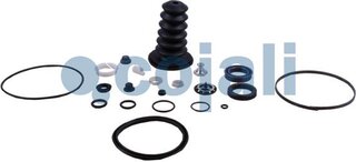 Cojali 6034034