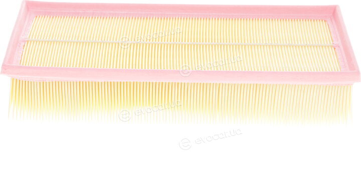 Solgy 103041