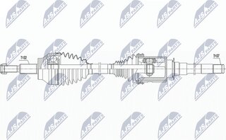 NTY NPW-CH-031