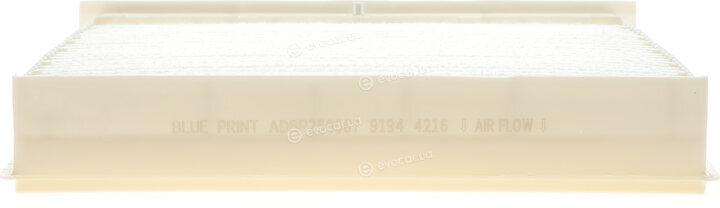 Blue Print ADBP250087