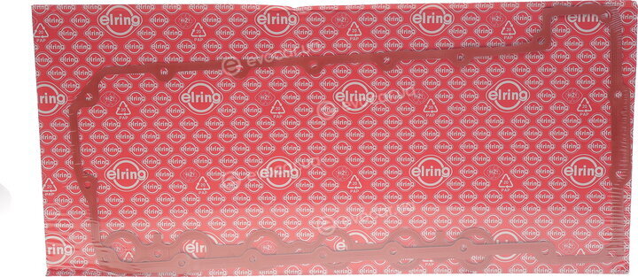 Elring 534.310