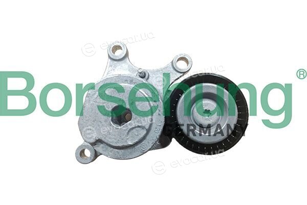 Borsehung B13089
