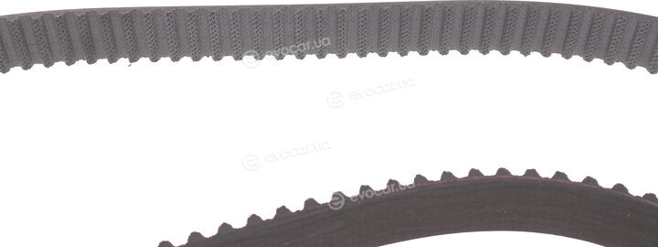 Gates K055550XS
