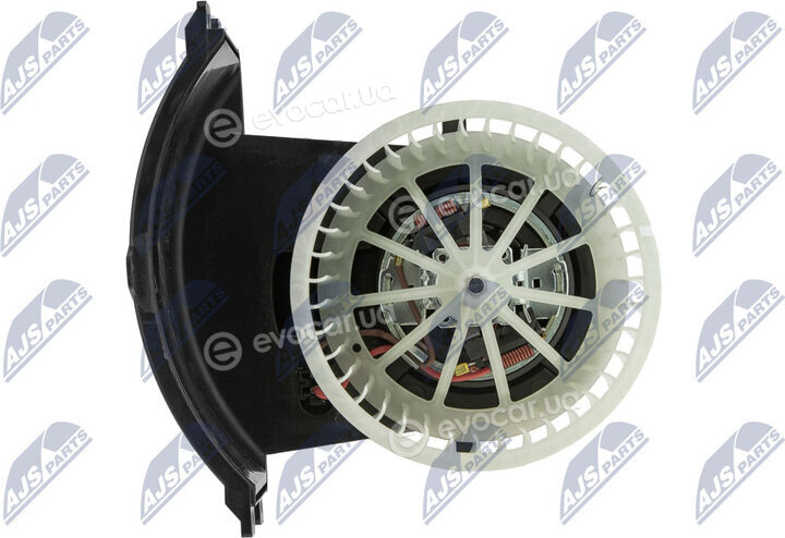 NTY EWN-VW-015