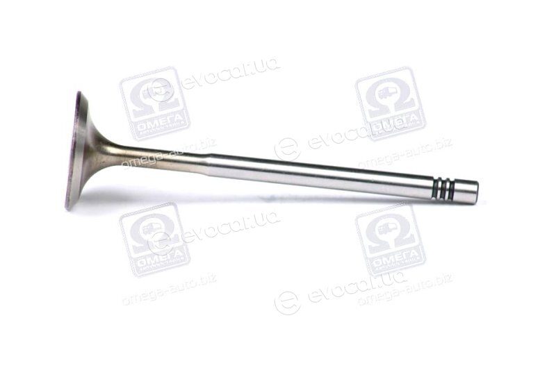 Mahle 029 VE 30528 000