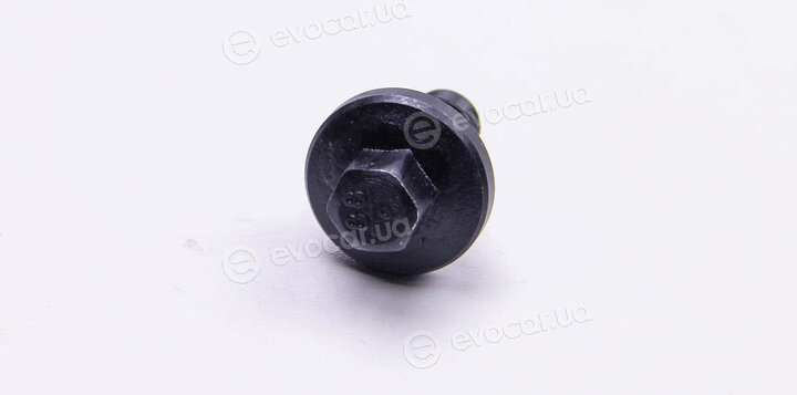 Metalcaucho / STC 02903